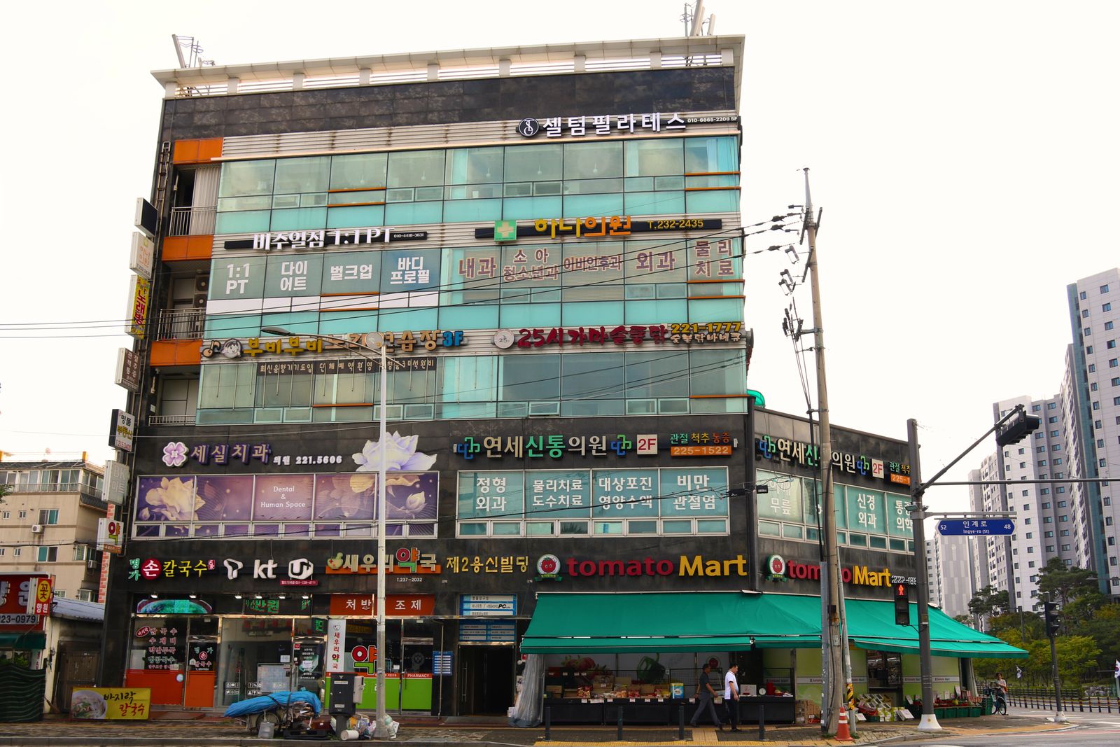 셀룰라이트 분해 관리